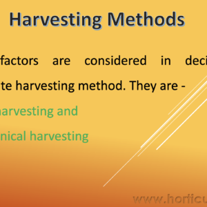 Harvesting and Field Handling PPT